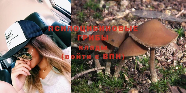 дживик Вязьма