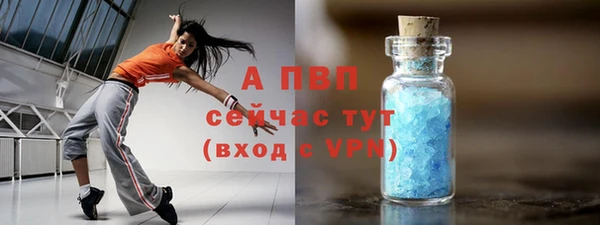 дживик Вязьма