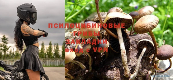 прущие крисы Сосновый Бор