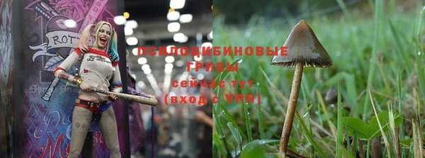 дживик Вязьма