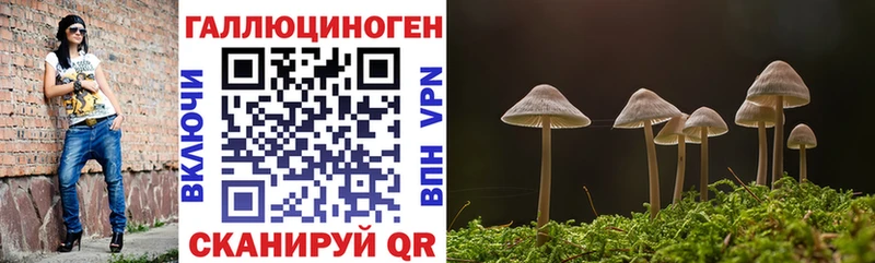 купить закладку  Салават  omg как зайти  Псилоцибиновые грибы мухоморы 